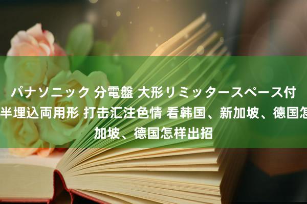 パナソニック 分電盤 大形リミッタースペース付 露出・半埋込両用形 打击汇注色情 看韩国、新加坡、德国怎样出招