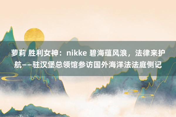 萝莉 胜利女神：nikke 碧海蕴风浪，法律来护航——驻汉堡总领馆参访国外海洋法法庭侧记